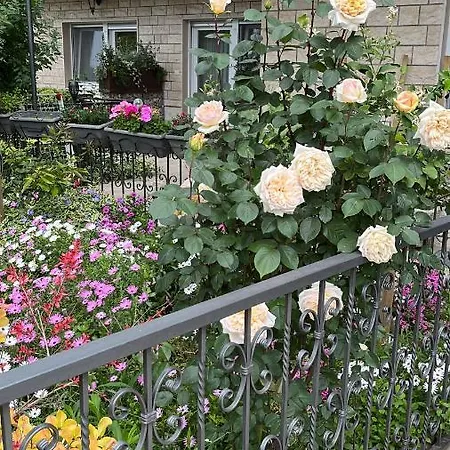 Apartment Ursic *