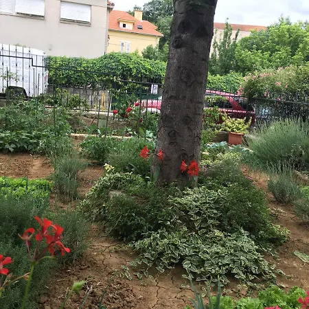 Ursic * Split