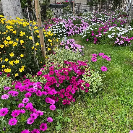 Apartament Ursic