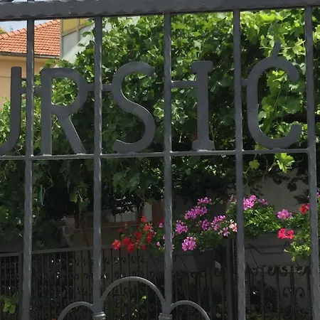 Ursic سبليت