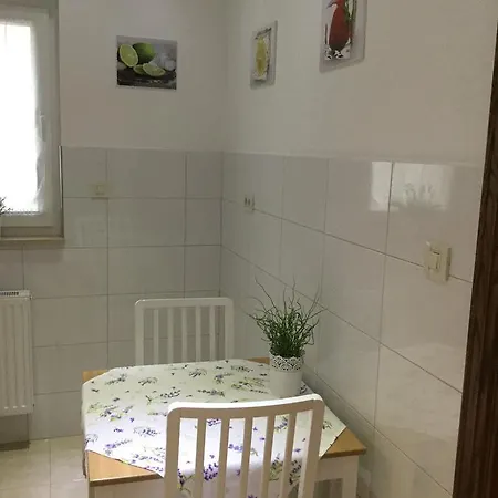 Ursic Apartament *