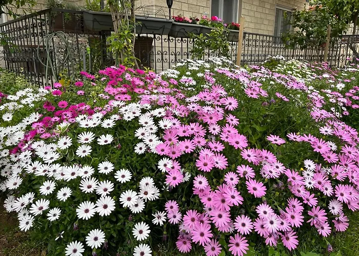 Apartment Apartmani Ursic