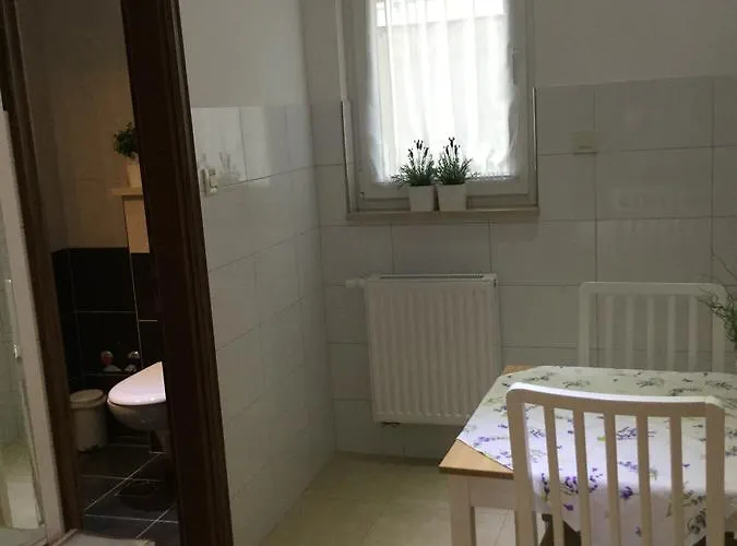 Ursic * 斯普利特